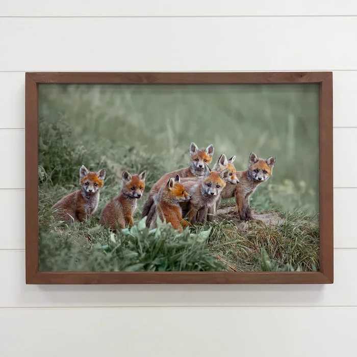 Baby Fox Pups – Wildlife Photography Canvas Art – Wood Frame
