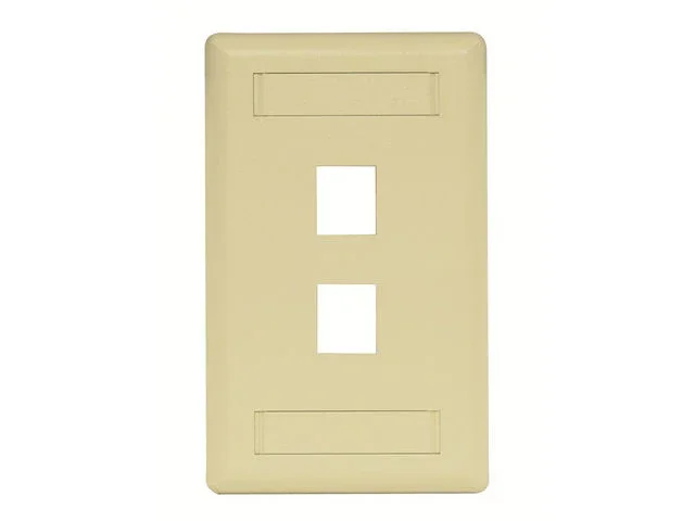 Bryant Plate Wall Flush 1-Gang 2-Port Ivory (IFP12EI)