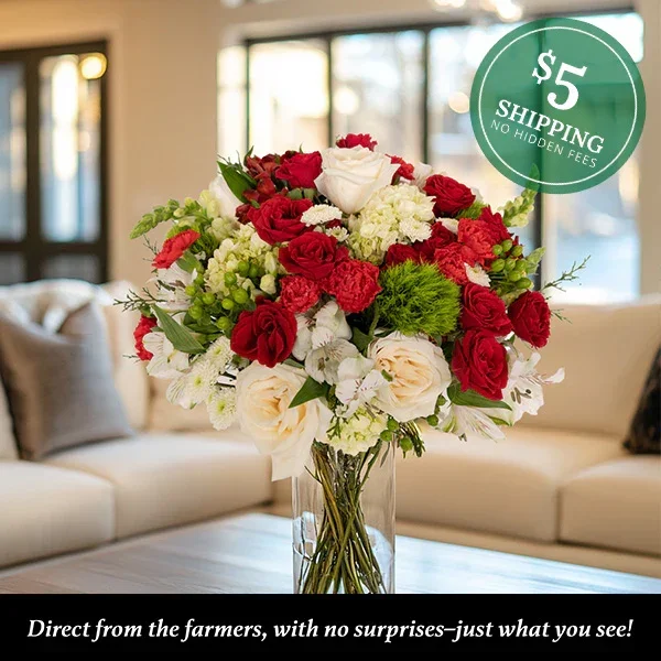 Candy Cane Christmas Bouquet Bar | Build Your Own Bouquet – Decor Steals
