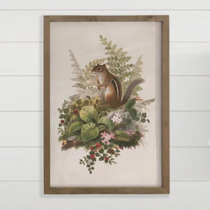 Chipmunk and Ferns – Forest Animal Canvas Art – Wood Framed
