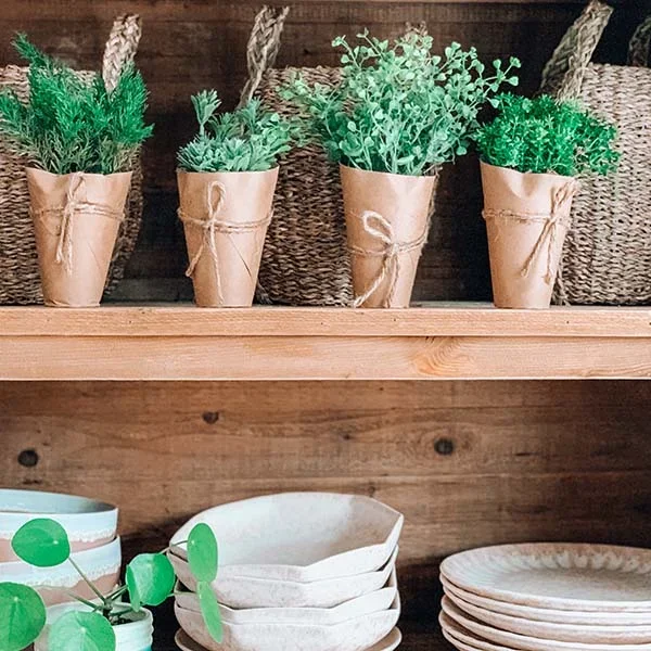 Faux Plants in Paper Wrapped Pots, Set of 4 – Decor Steals