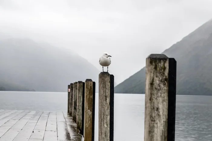 Foggy pier