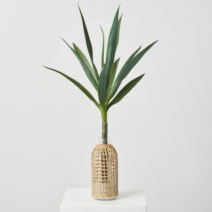 Lifelike Desert Yucca Plant in Rattan Wrapped Bottle Vase Everyday Water Illusion Arrangement