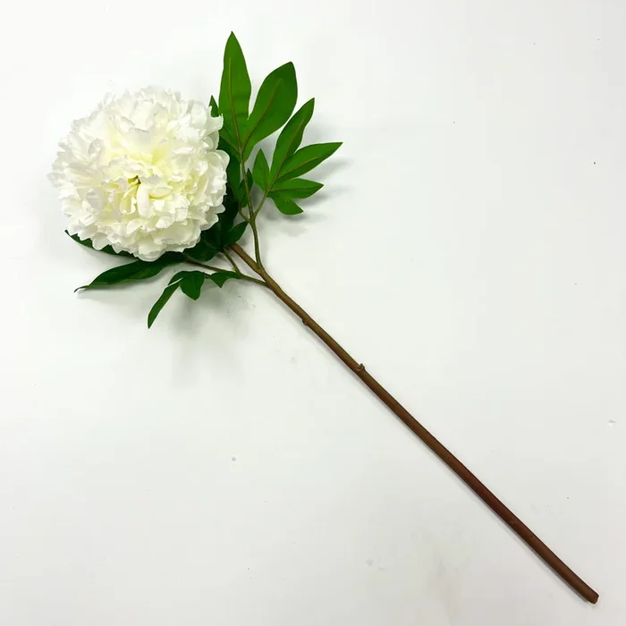 Natural Looking White Silk Peony Bloom Everyday Spring Faux Floral Stem – 24″