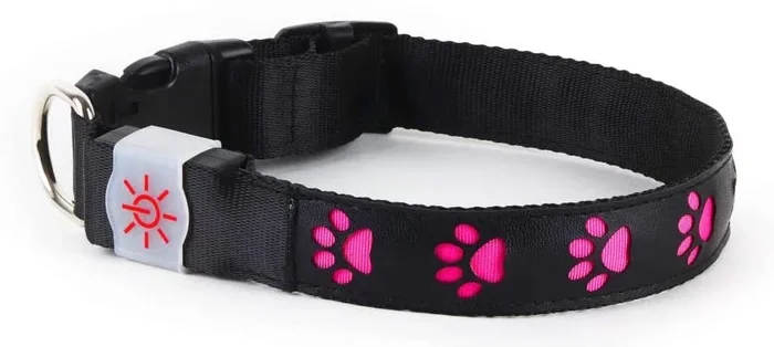 NIGHT SCOUT DOG COLLAR