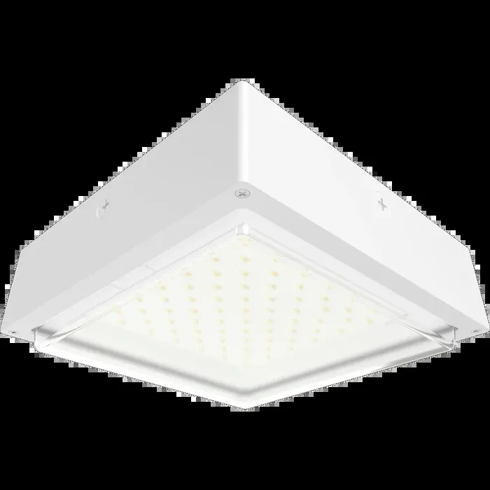 RAB VAN34 Canopy Light Wattage/CCT Selectable 30W/20W/10W 3000K/4000K/5000K 120-277V 0-10V Dimming Drop Clear Lens White (VAN34-30W)