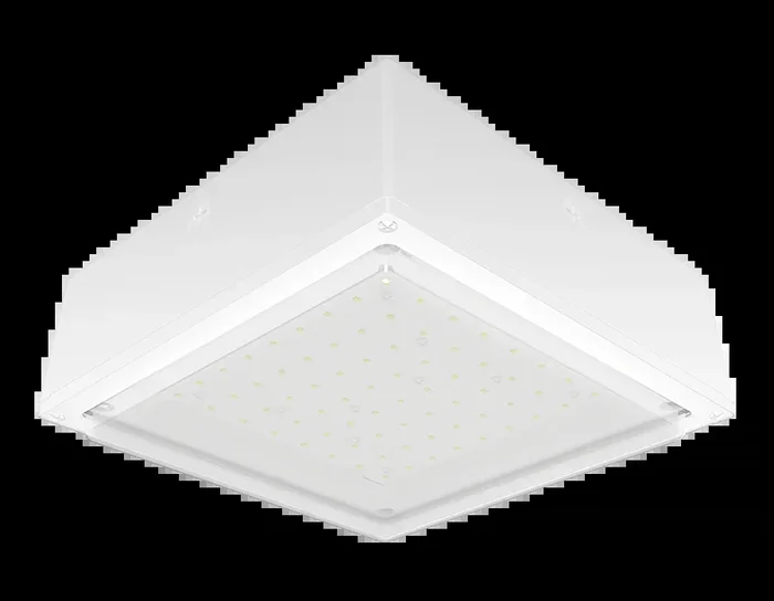 RAB VanLED 65W 4000K Drop Frosted Lens 480V 0-10V White (VANLED65NFRW/480)