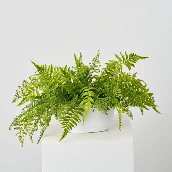 Real Touch Boston & Lace Fern in White Cement Boat Vase Everyday Centerpiece Arrangement