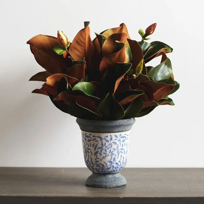 Real Touch Magnolia Leaves & Buds Everyday Arrangement in Blue and White Stoneware Compote