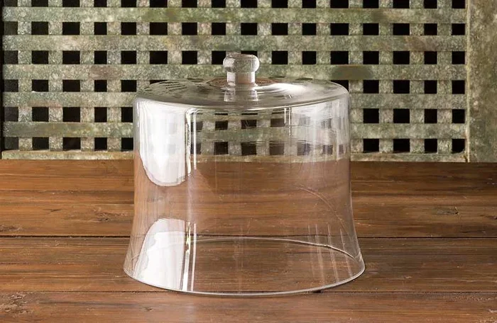 Vintage Inspired Glass Cloche – Decor Steals