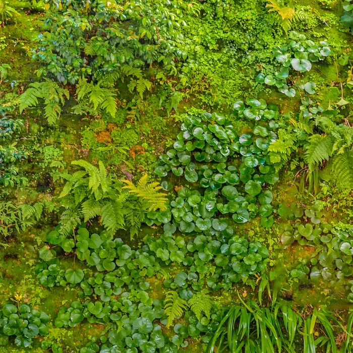 Vivid Nature Texture Background
