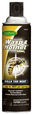 Wasp and Hornet Killer Aerosol Spray, 17.5 Ounce Can